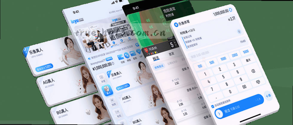 数据隐私与用户权益保障